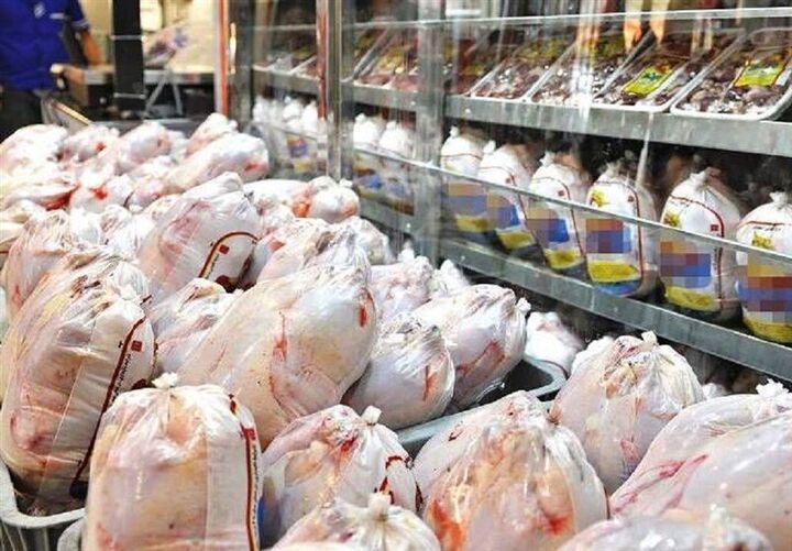  قیمت جدید مرغ استان بر اساس تصمیم قرارگاه ساماندهی کشور تعیین می شود,